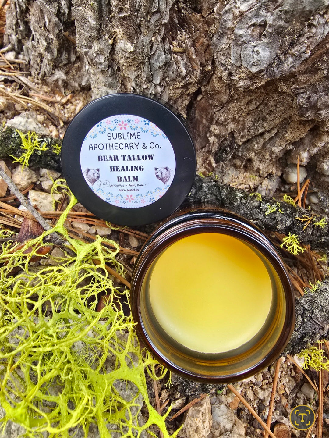 Bear Grease: The Forgotten Healing Tradition That's Coming Back