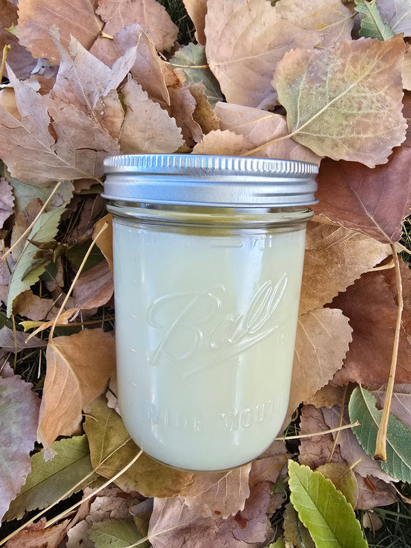 Tallow